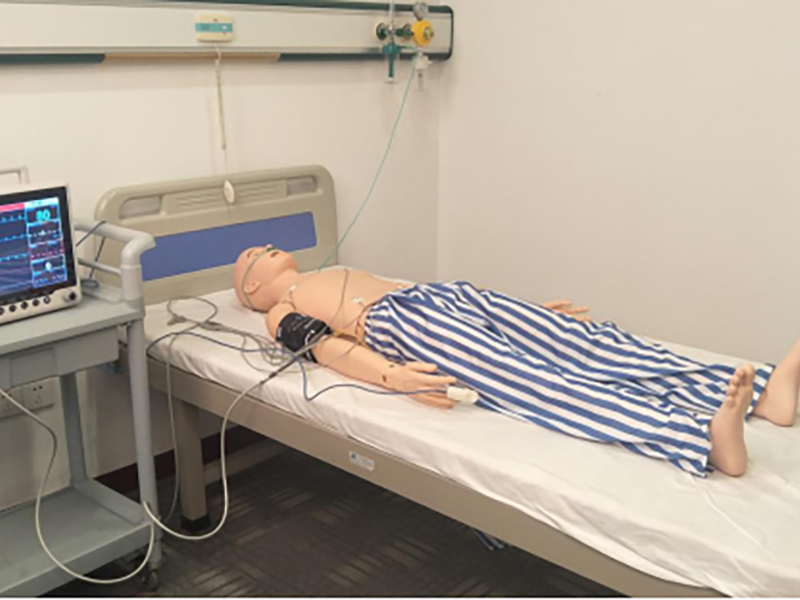 高級心電監(jiān)護訓練模擬人 高級心電監(jiān)護訓練模擬人