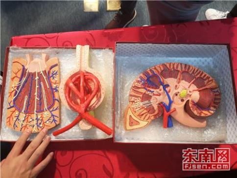 1646943025711617.jpg 2.jpg