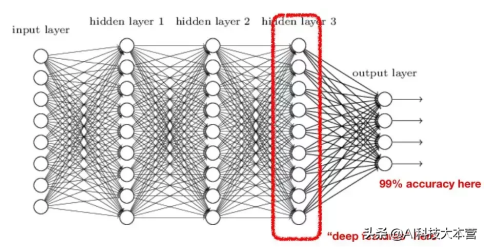 1646962022554983.jpg 1.jpg