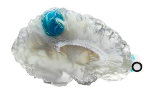 1647184977250883.jpg 5.jpg