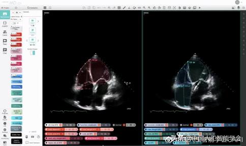 1647699527685760.jpg 2.jpg