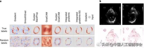 1647699643938933.jpg 4.jpg