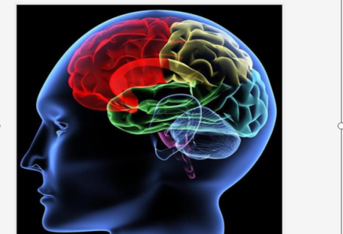 1647969704587698.jpg 6.jpg