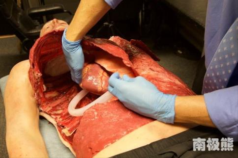 1647974432107335.jpg 4.jpg