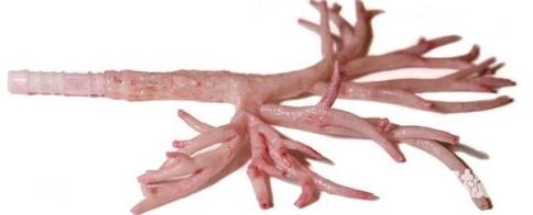 1647974664334429.jpg 8.jpg