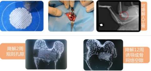 1654143934532974.jpg 4.jpg