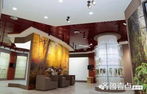 1655361411395479.jpg 1.jpg