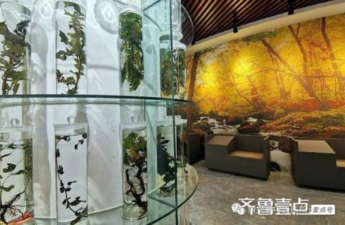 1655361469735300.jpg 2.jpg