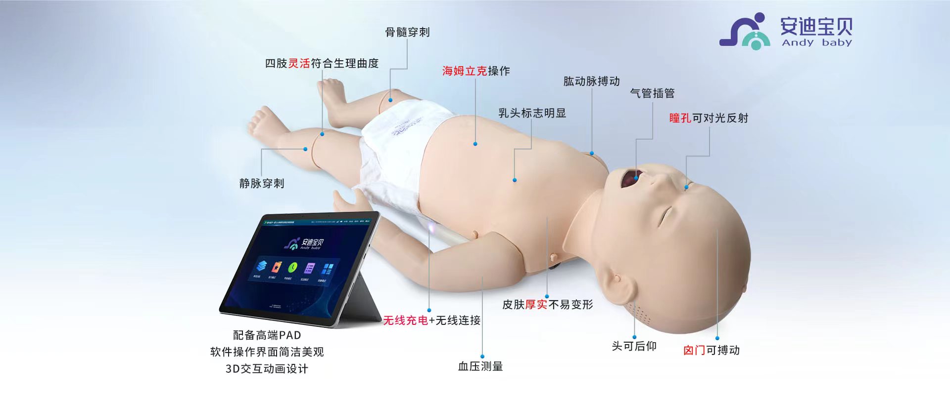 嬰兒心肺復(fù)蘇模擬人 Andy Baby安迪寶貝 嬰兒心肺復(fù)蘇模擬人 Andy Baby安迪寶貝