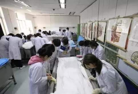 1657236719424033.jpg 1.jpg