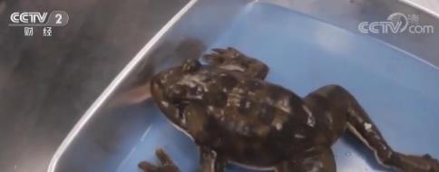 1657996427414801.jpg 2.jpg