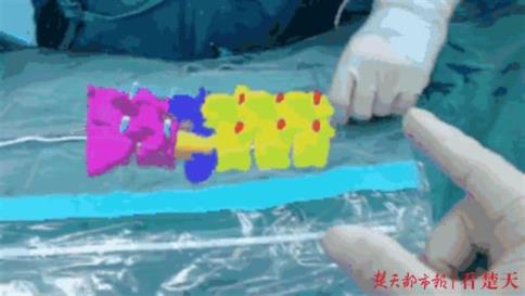 1658224992120303.jpg 1.jpg