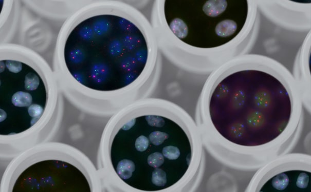 1681896257143667.jpg 1.jpg