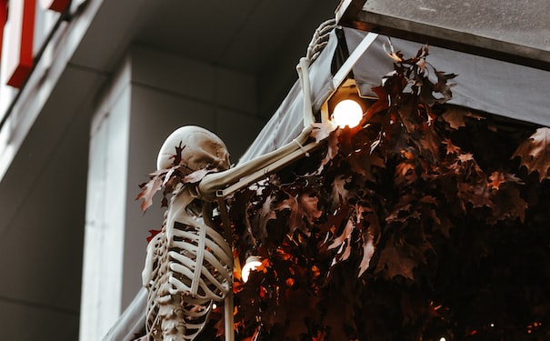 1681974511275576.jpg 3.jpg