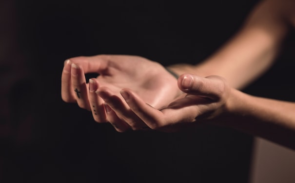 1682009306564736.jpg 4.jpg