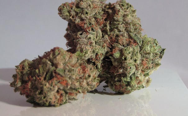 1682095293382249.jpg 10.jpg