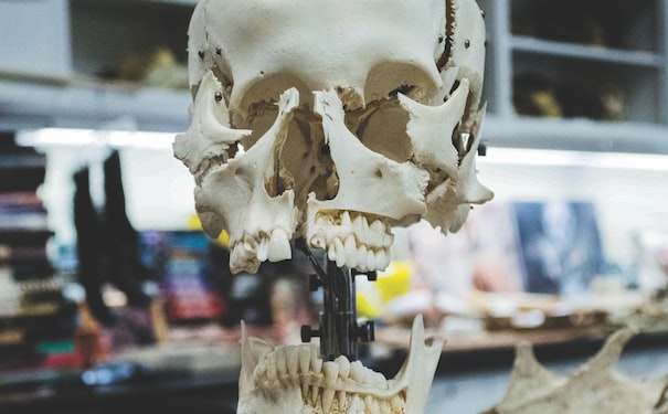 1682338543410519.jpg 1.jpg