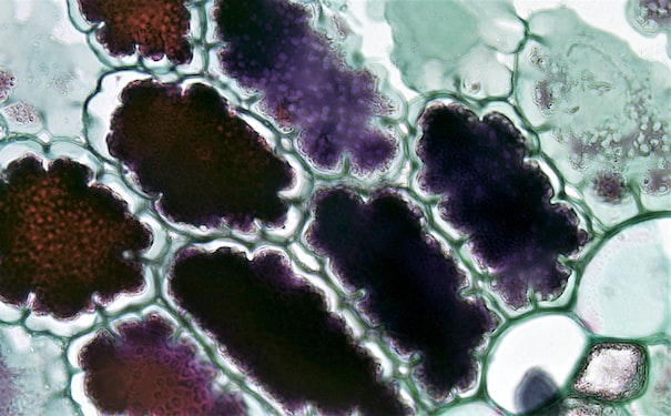 1682824507324522.jpg 3.jpg