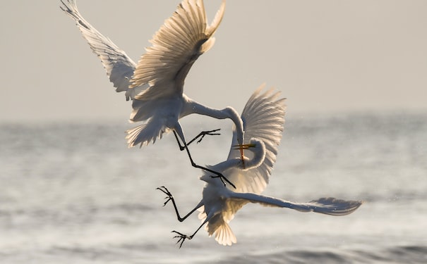 1683769958841718.jpg 3.jpg