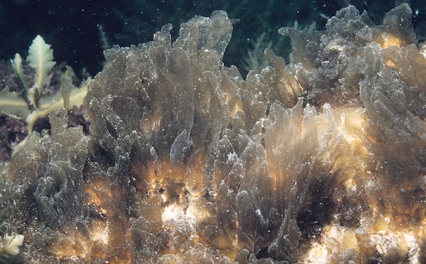 1683837676359610.jpg 2.jpg