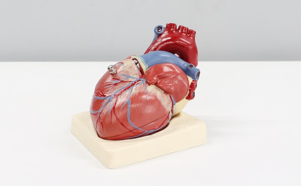 1686043882931416.jpg 3.jpg