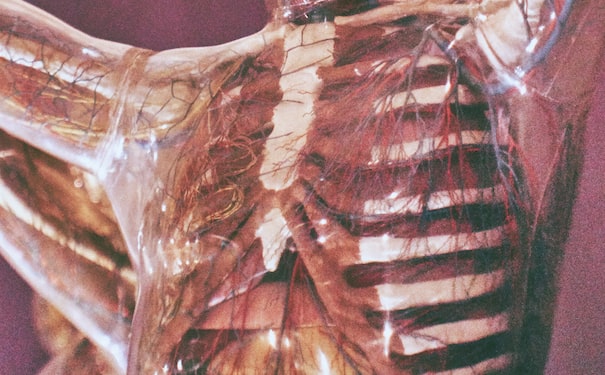 1686044331308864.jpg 1.jpg