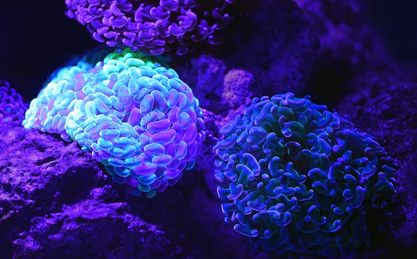 1686503487468265.jpg 4.jpg