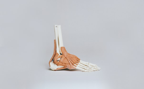 1687257065883193.jpg 4.jpg