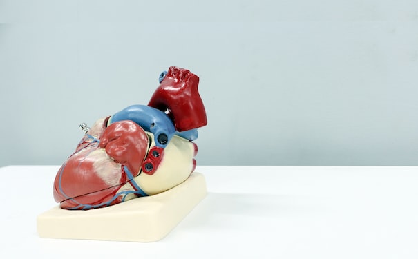 1688385777285248.jpg 1.jpg