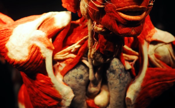 1688387255699393.jpg 2.jpg