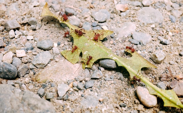 1688387427498233.jpg 5.jpg