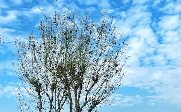 1690559941857342.jpg 2.jpg