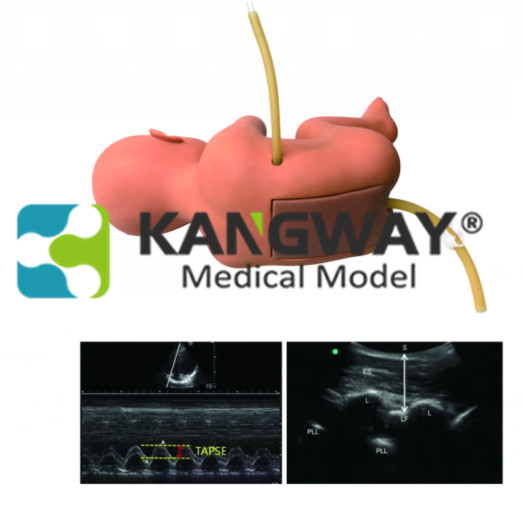 1698043807607620.png 0.png